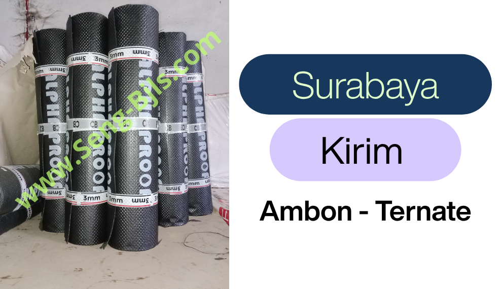 membrane ambon