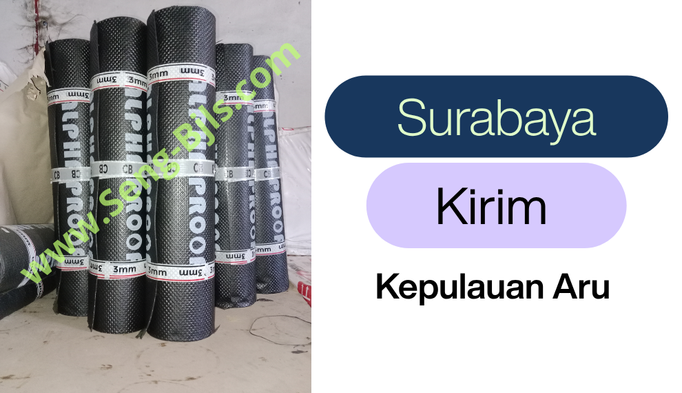 membrane aru